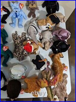 TY Beanie Babies extremely rare retired Lot