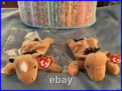 TY Beanie Babies lot/2 DIFFERENT Derbys 1995 Both MINT tag ERRORS Retired/RARE