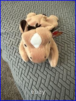 TY Beanie Baby 1995 Retired Derby the Horse with RARE Tag Errors