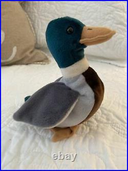 1997 for sale online Ty Beanie Baby Jake The Mallard Drake Duck 
