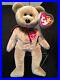 TY_Beanie_Baby_1999_SIGNATURE_TEDDY_Bear_WITH_ERRORS_HANG_TAG_RARE_RETIRED_01_lzz