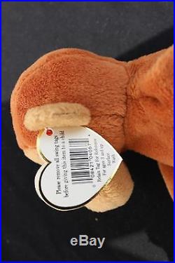 TY Beanie Baby Bongo Style 4067 AUTHENTICATED Rare Museum Quality