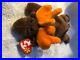 TY_Beanie_Baby_Chocolate_the_Moose_Extremely_rare_tag_errors_red_star_01_hjdc