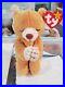 TY_Beanie_Baby_Hope_the_Praying_Bear_RARE_MINT_CONDITION_Retired_with_Errors_01_uhan