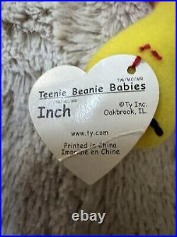 TY Beanie Baby Inch The Worm With Very Rare first addition tag & With Tag Errors