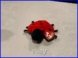 TY Beanie Baby Lucky The Ladybug with Spots Plush Toy very rare with tag error