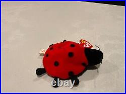 TY Beanie Baby Lucky The Ladybug with Spots Plush Toy very rare with tag error