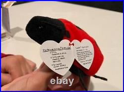 TY Beanie Baby Lucky The Ladybug with Spots Plush Toy very rare with tag error