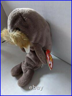 JOLLY the Walrus PE Pellets-RETIRED TY Beanie Baby Pristine with Mint Tags 