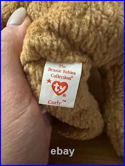 TY Beanie Baby VERY RARE CURLY the Bear withTag Errors (1993/1996) & Brown Nose