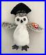 TY_Beanie_Baby_Wiser_The_Owl_1999_Rare_Retired_Vintage_Collectable_01_uv
