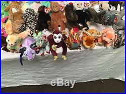 TY HUGE Lot of 141 Beanie Babies! Rare Retired Vintage Zodiac Set Wise Owl Set