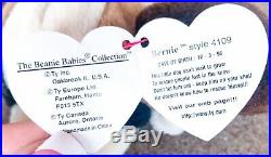 TY Original Bernie Beanie Baby (1996) P. V. C. Retired Rare With Tag ERRORS
