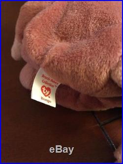 TY VERY RARE Pouch Beanie Baby With BONGO Tush Tag & BONGO without Hang Tag