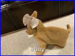 Tiny the chihuahua beanie baby with errors. Rare