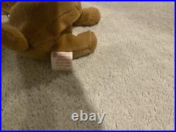 Tiny the chihuahua beanie baby with errors. Rare