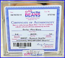 Ty Authenticated Derby Fine Mane Ultra Rare 3rd gen Beanie Baby MWMT MQ (AP)