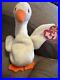 Ty_Beanie_Babies_1996_GRACIE_The_Swan_Rare_Retired_Tag_Errors_Style_Spacing_01_ap