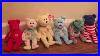 Ty_Beanie_Babies_Bear_Collection_01_uchw