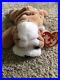 Ty_Beanie_Babies_EXTREMELY_RARE_Wrinkles_the_Bulldog_with_Tag_ERRORS_01_xcc