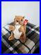 Ty_Beanie_Babies_Nuts_Squirrel_1996_RARE_ERRORS_Retired_Baby_01_akby
