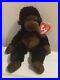 Ty_Beanie_Babies_Rare_CONGO_with_Tag_Errors_2010_2011_Retired_01_rbzh