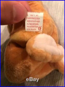 Ty Beanie Babies Rare Retired HOPE Praying Bear w New Tag Errors 1st EDITION