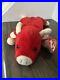 Ty_Beanie_Babies_Snort_Red_Bull_1995_RARE_ERRORS_Excellent_Retired_Baby_01_we