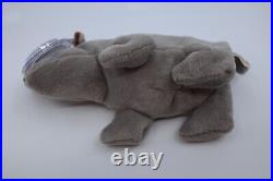 Ty Beanie Babies Spike Rhino 1996 RARE, ERRORS (Excellent, Retired, Baby)