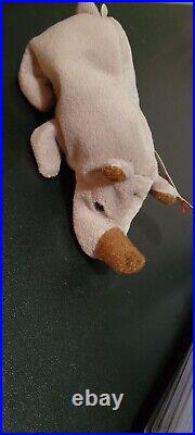 Ty Beanie Babies Spike The Rhino 1996Rare With Errors In Tag