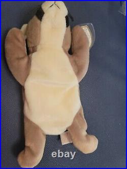 Ty Beanie Baby CANYON the Cougar MINT with MINT TAGS Errors Rare