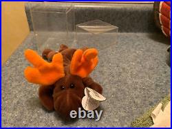 Ty Beanie Baby Chocolate the Moose 1993 with rare tag errors