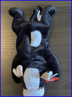 NWT DAISY the Black Cow Ty Beanie Baby new with tags 3rd generation tush 