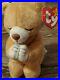 Ty_Beanie_Baby_Hope_praying_bear_Withtag_errors_Rare_Retired_Mint_condition_01_mgjg