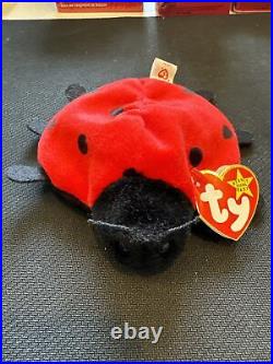 Ty Beanie Baby, Lucky The Ladybug, 1993, Many Errors, Rare, Pvc, Retired