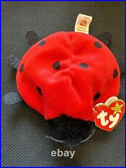 Ty Beanie Baby, Lucky The Ladybug, 1993, Many Errors, Rare, Pvc, Retired