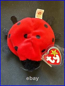 Ty Beanie Baby, Lucky The Ladybug, 1993, Many Errors, Rare, Pvc, Retired