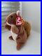 Ty_Beanie_Baby_Nuts_the_Squirrel_1996_with_Errors_Rare_Collectable_01_jmya