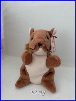 Ty Beanie Baby Nuts the Squirrel 1996 with Errors (Rare Collectable)