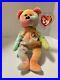 Ty_Beanie_Baby_Original_Retired_Rare_Peace_Bear_1996_Mint_01_rc