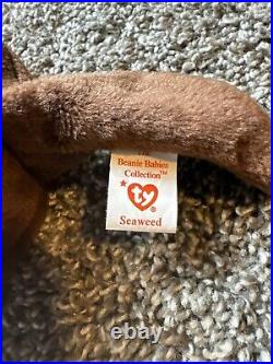 Ty Beanie Baby Seaweed the Otter Retired WITH ERRORS RARE Vintage withTags