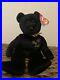 Ty_Beanie_Baby_The_End_Bear_Mint_Condition_RARE_With_4_ERRORS_MUST_SEE_01_gyjm