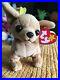 Ty_Beanie_Baby_Tiny_The_Chihuahua_Dog_With_3_Errors_Rare_Excellent_Condition_01_yd