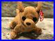 Ty_Beanie_Baby_Tiny_the_Chihuahua_Dog_with_Errors_Rare_excellent_condition_01_skbh
