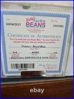 Ty Beanie-peanuts Royal Blue-mq-authenticated-gorgeous Rare Beanie