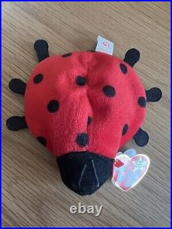 Ty Original Beanie Baby Lucky The Ladybug with 10 Spots Plush Toy RARE
