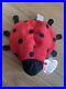Ty_Original_Beanie_Baby_Lucky_The_Ladybug_with_10_Spots_Plush_Toy_RARE_01_jfp