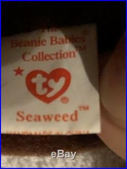 Ty Rare Beanie Baby Seaweed