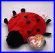 Ty_beanie_babies_extremely_rare_retired_1993_Lucky_The_Ladybug_PVC_Tag_Errors_01_lnmu