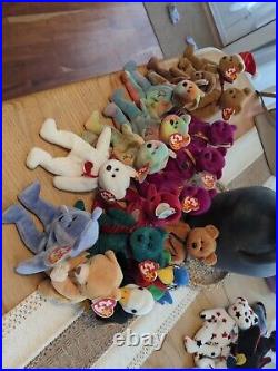 Ty beanie babies rare retired lot